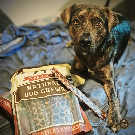 Bully Bunches 12 Inch Beef Jerky Strip