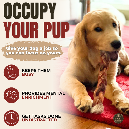 Bully Bunches 12 Inch Thick Braided Bully Stick