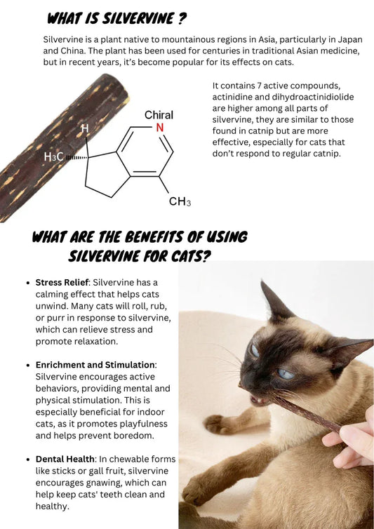 Bâtonnets d'actinidia