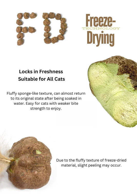 Fruits de galle de vigne d'argent lyophilisés, 20g