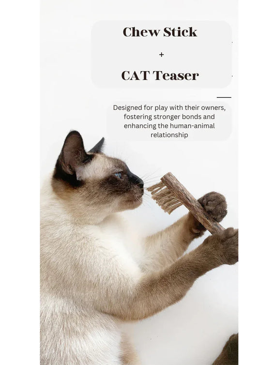 Silvervine Toothbrush