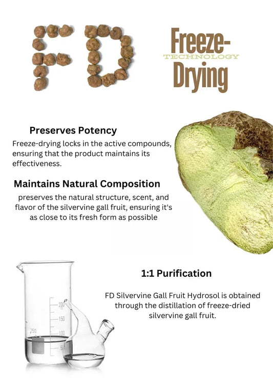 Hydrolat de fruit de galle de vigne d'argent lyophilisé, 35 ML