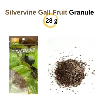Poudre de fruit de galle de vigne d'argent