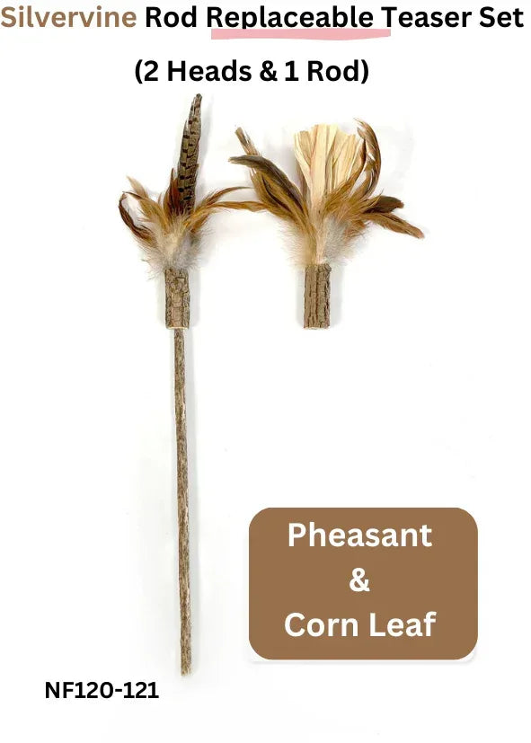 Ensemble de têtes de rechange et canne à pêche pour cataire - 2 têtes et 1 canne