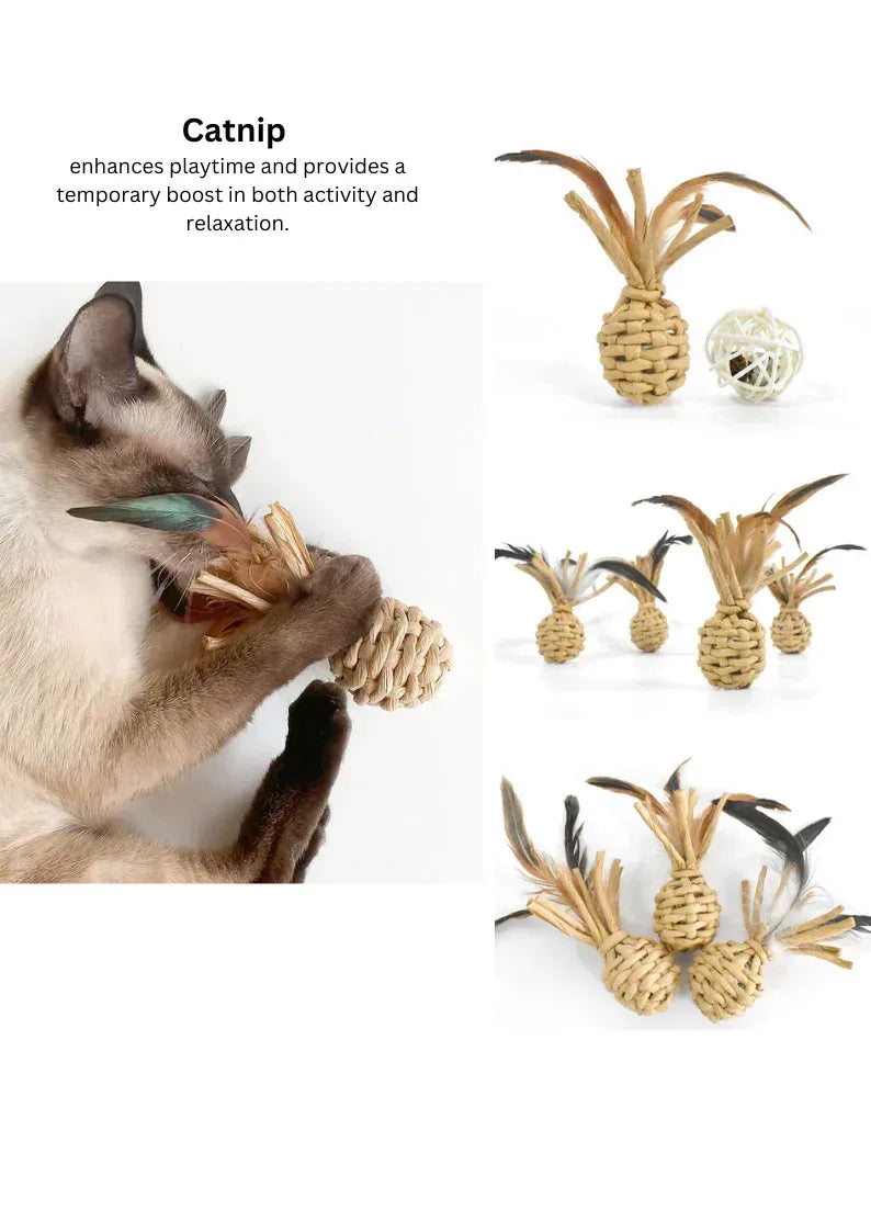 Ananas en cataire tissé