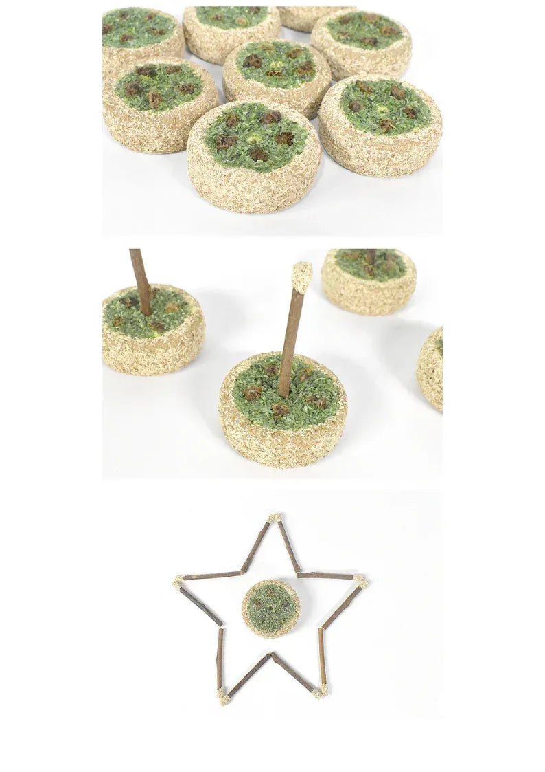 Gâteau d'anniversaire à l'actinidia