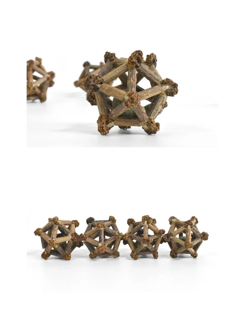 Étoile à douze branches de vigne argentée