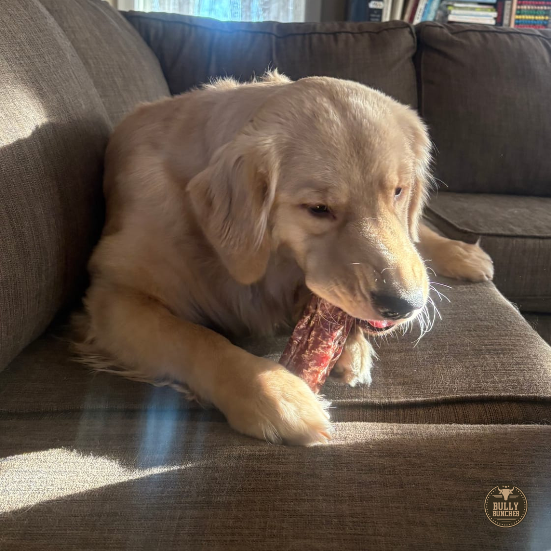 Bully Bunches 6 Inch Trachea Wrapped in Jerky