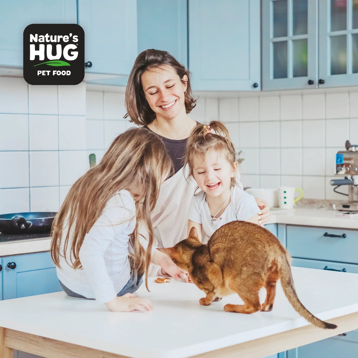 Nourriture pour chats adultes, adaptée aux foyers de plusieurs chats actifs (1 à 10 ans)