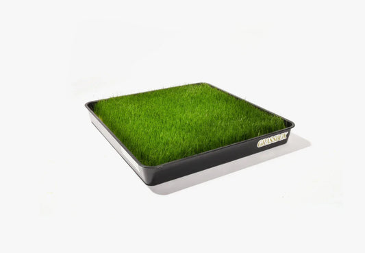 Bac réutilisable GrassBox