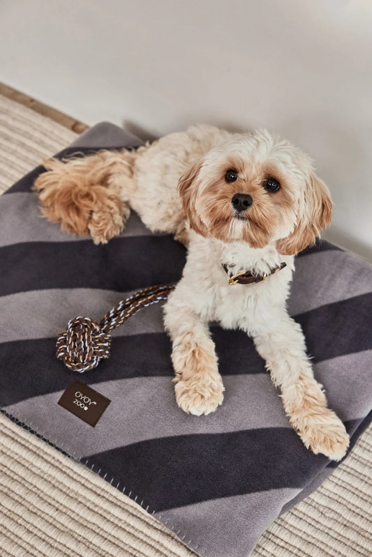 OYOY Kaya Dog Blanket - Large