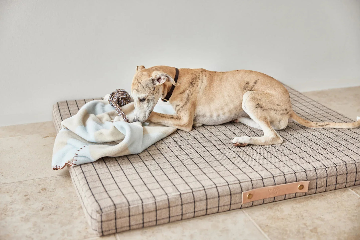 OYOY Kaya Dog Blanket - Small