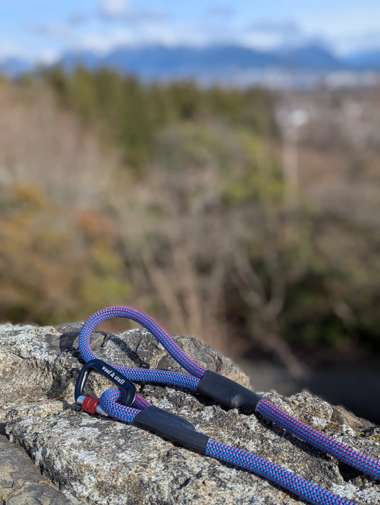 Woof & Stuff Heather Rope Leash