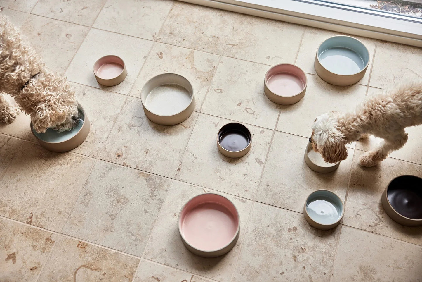 OYOY Sia Gamelle pour Chien - Taille M