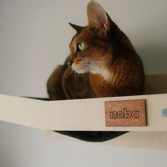 Hamac mural grattable pour chat