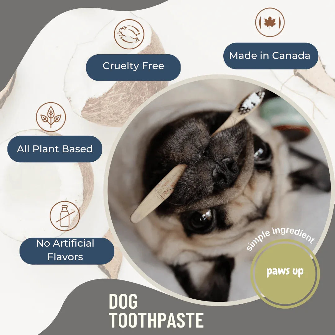 Pâte dentifrice bio Black Sheep Organics pour chiens