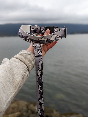 Woof & Stuff Moonlight Leash