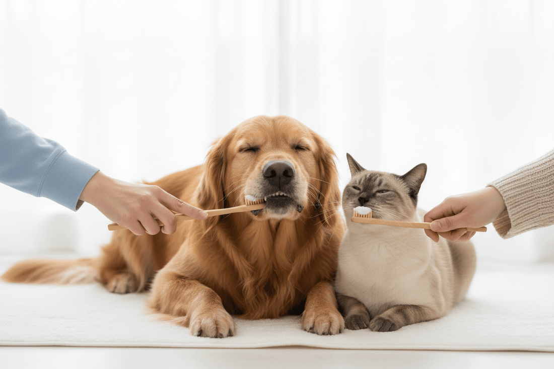 Dog and cat having their teeth brushed with bamboo toothbrushes in a clean spa-inspired setting