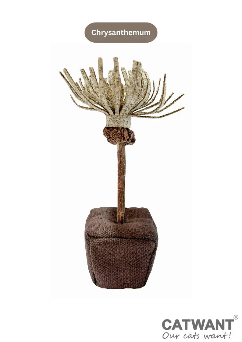 Fleur en papier d'herbe à chat