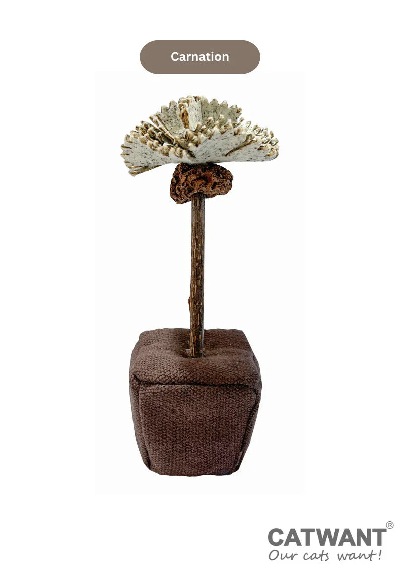 Fleur en papier d'herbe à chat