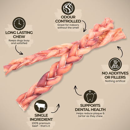 Bully Bunches 12 Inch Standard Braided Bully Stick