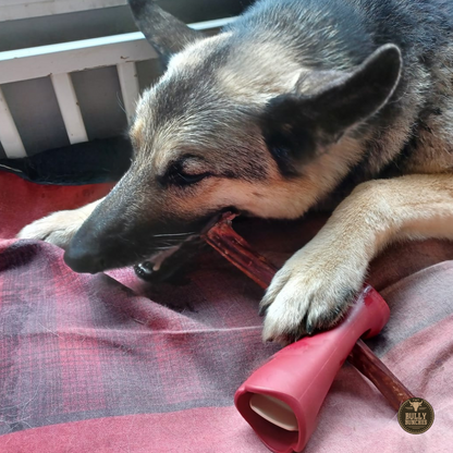 Bully Bunches 10-12 Inch Champion Chew