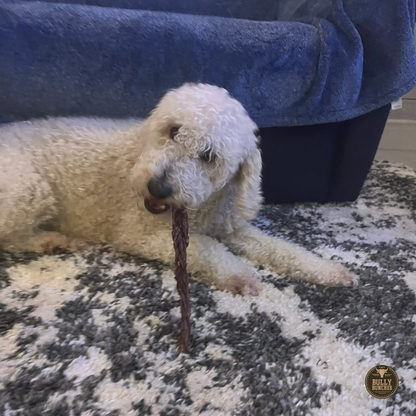 Bully Bunches 12 Inch Braided Jerky Stick