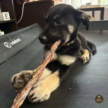 Bully Bunches 12 Inch Braided Jerky Stick