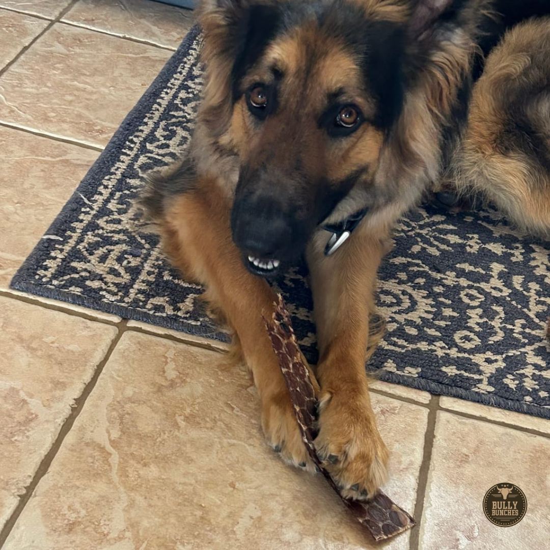 Bully Bunches 12 Inch Beef Jerky Strip
