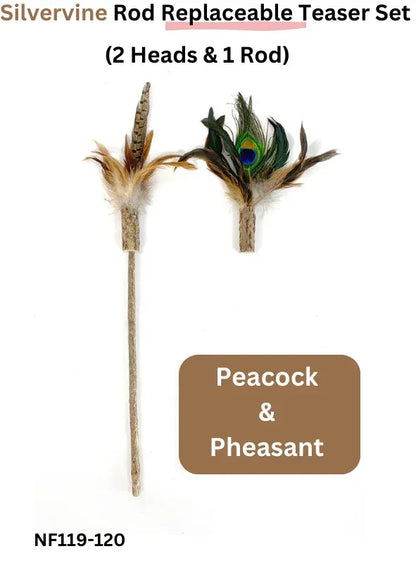 Ensemble de têtes de rechange et canne à pêche pour cataire - 2 têtes et 1 canne