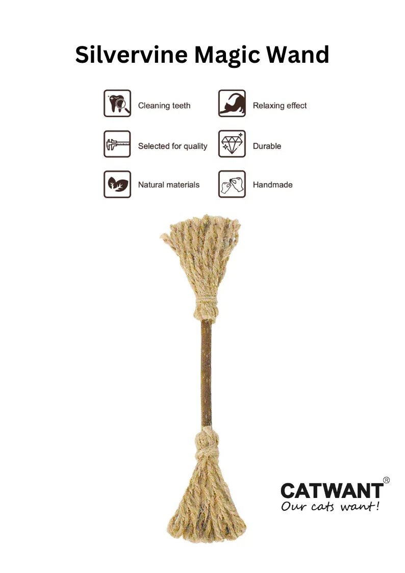 Baguette magique d'Actinidia