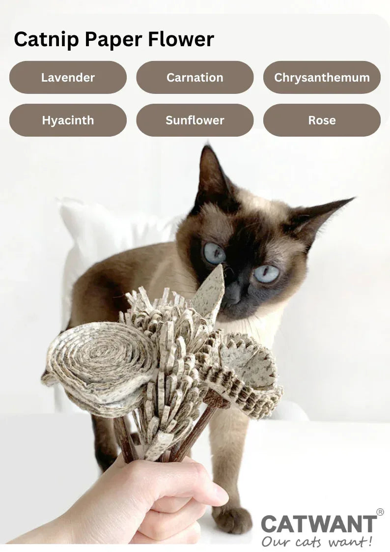 Fleur en papier d'herbe à chat