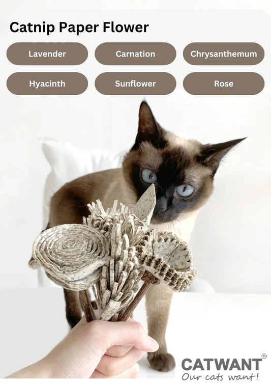 Fleur en papier d'herbe à chat