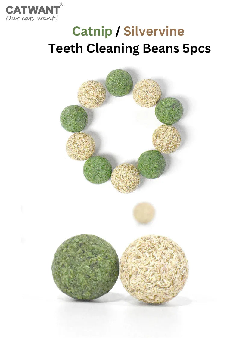 Haricot Nettoyant Dents pour Chatonnières / Vigne Argentée 5pcs