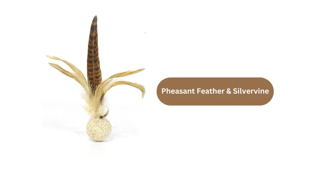 Oiseau en vigne argentée/herbe à chat