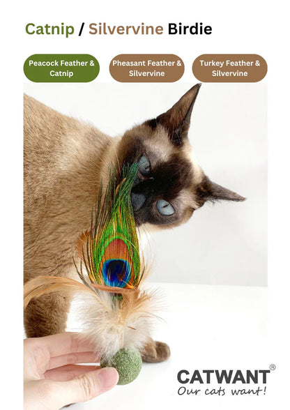 Oiseau en vigne argentée/herbe à chat