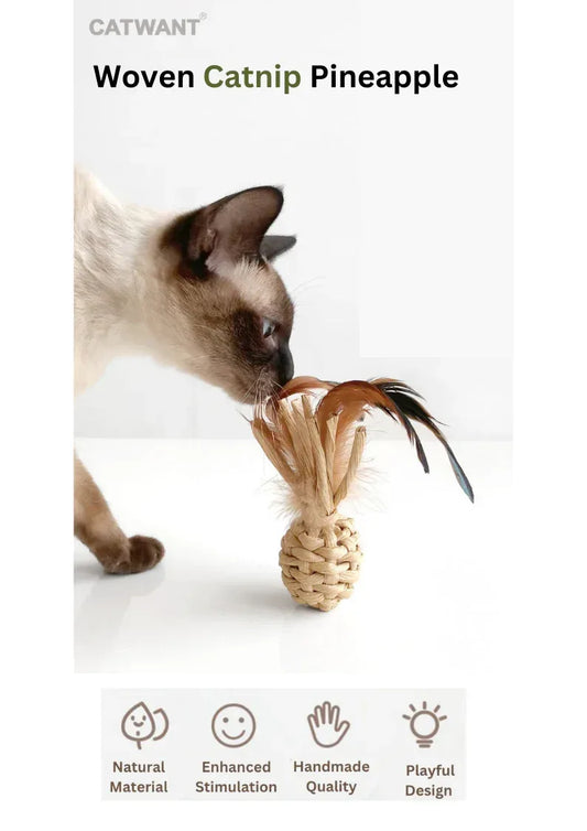 Ananas en cataire tissé