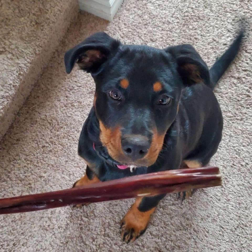 Bully Bunches 12 Inch Beef Jerky Stick