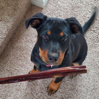 Bully Bunches 12 Inch Beef Jerky Stick