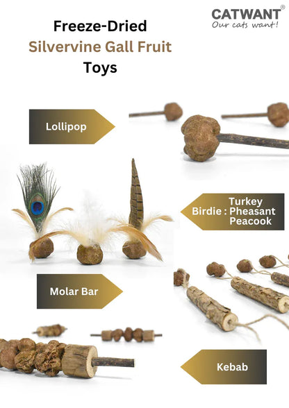 Jouets de fruits de galle d'actinidie polygama lyophilisés