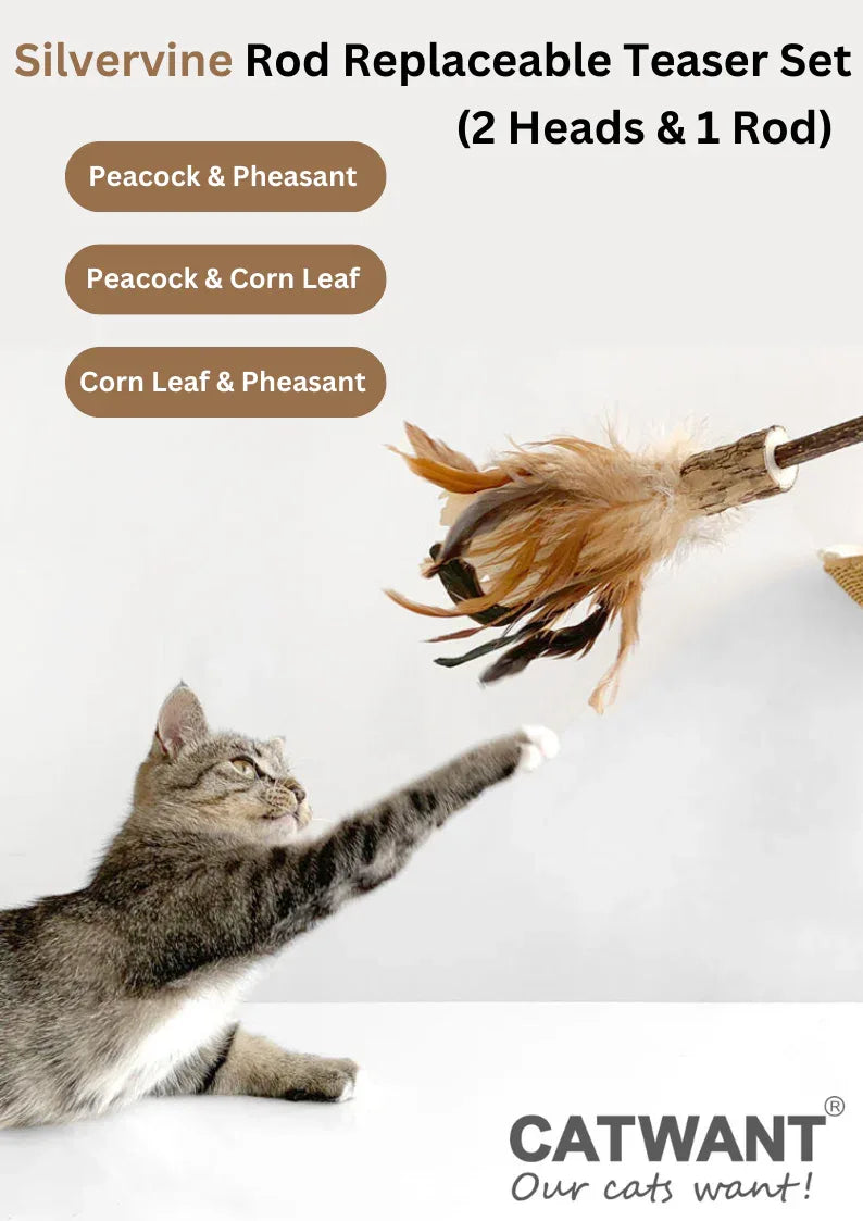 Ensemble de têtes de rechange et canne à pêche pour cataire - 2 têtes et 1 canne