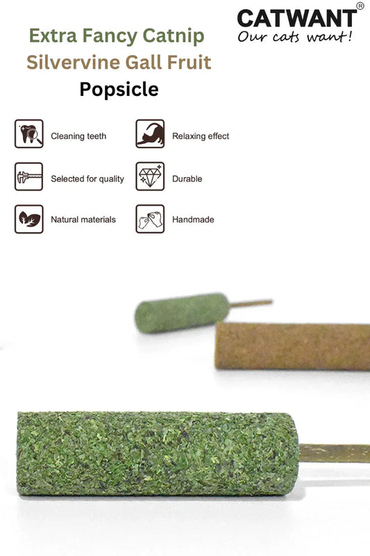 Sucette glacée au fruit de galle de vigne argentée