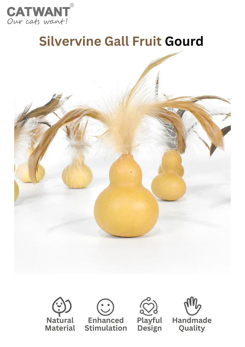 Gourde de fruit de galle de vigne d'argent