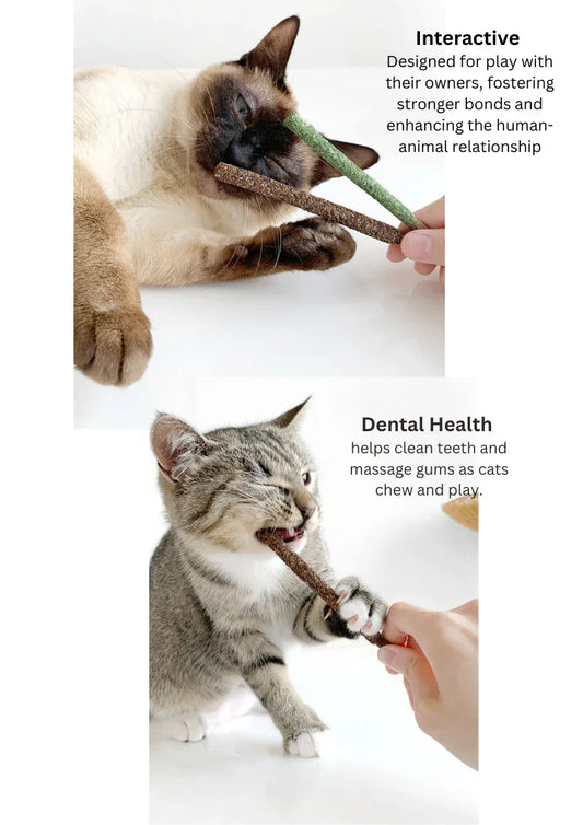 Bâtonnets de biscuits à l'herbe à chat et au fruit de vigne argentée - 8 pièces