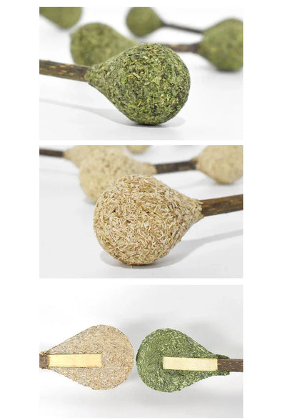 Bâtonnets dentaires cataire/vigne argentée