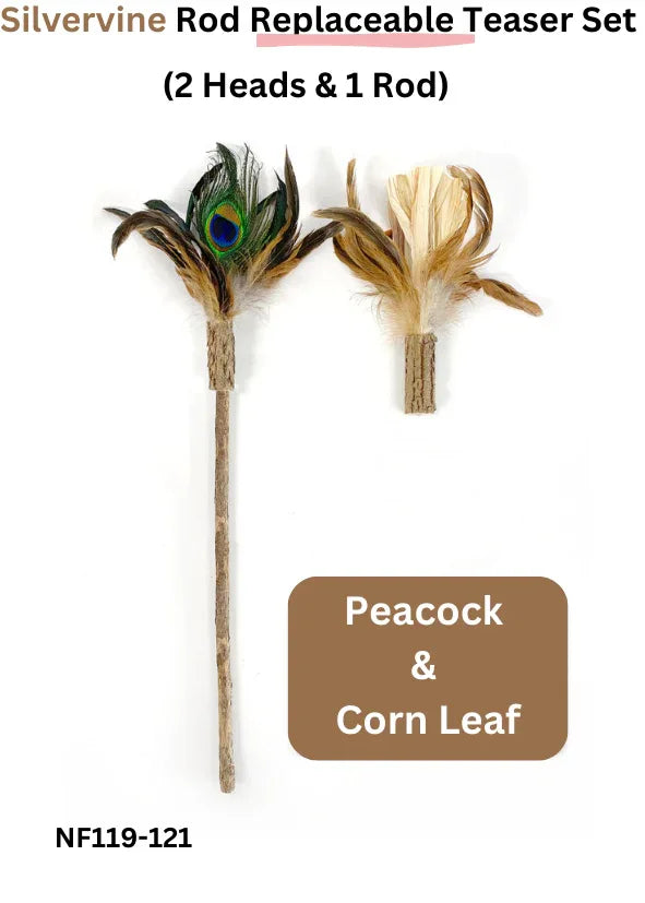 Ensemble de têtes de rechange et canne à pêche pour cataire - 2 têtes et 1 canne