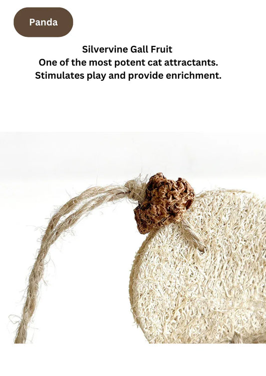 Balançoires à vigne argentée – Canari / Panda