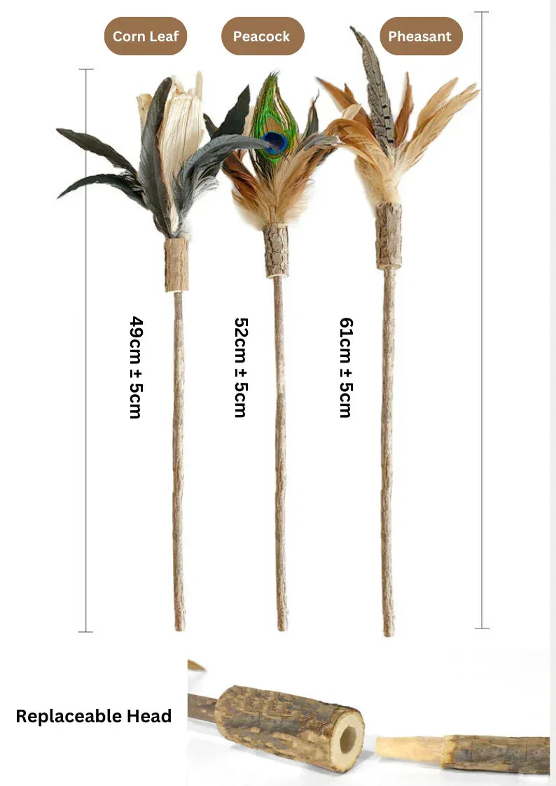 Ensemble de têtes de rechange et canne à pêche pour cataire - 2 têtes et 1 canne