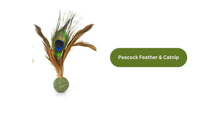 Oiseau en vigne argentée/herbe à chat