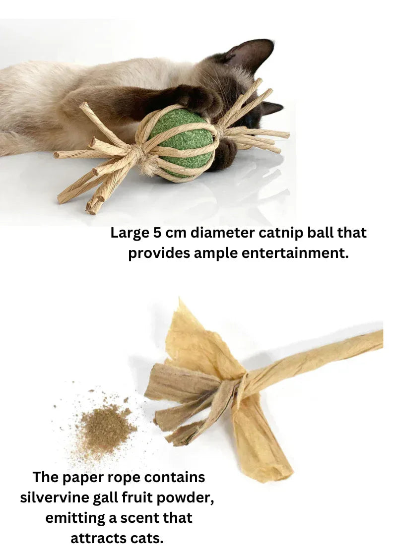 Woven Silvervine (Matatabi) Gall Fruit Candy With Catnip Ball